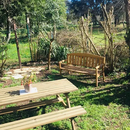 House A Marina Di …corse * Sorbo-Ocagnano