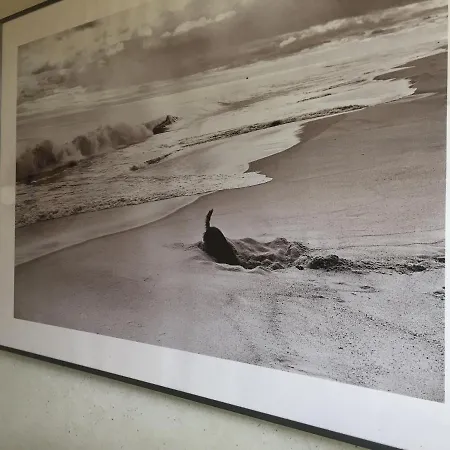 シャレー House A Marina Di …corse