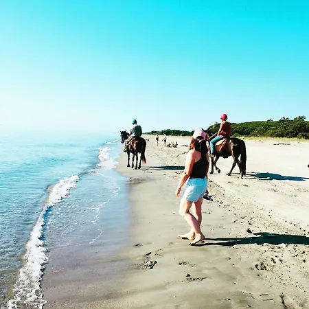 シャレー House A Marina Di …corse Sorbo-Ocagnano