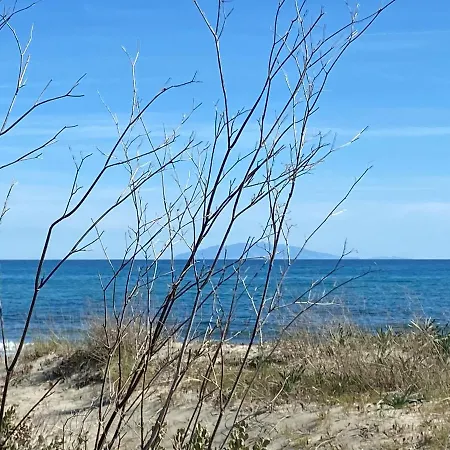 Dağ evi House A Marina Di …corse