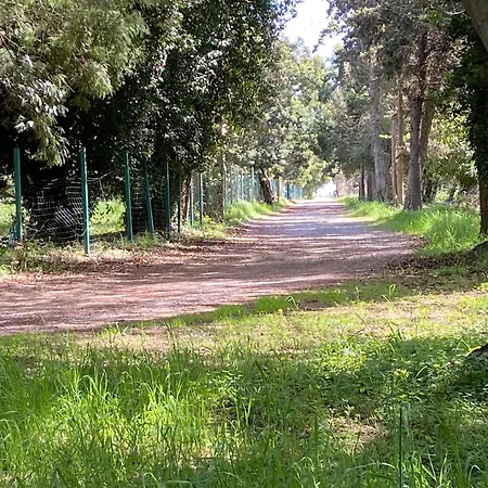 House A Marina Di …corse * Sorbo-Ocagnano