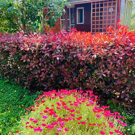 House A Marina Di …corse Sorbo-Ocagnano