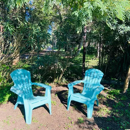 House A Marina Di …corse Dağ evi Sorbo-Ocagnano