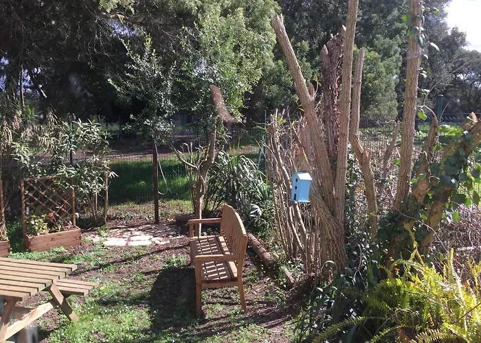 Chalet House A Marina Di …corse Sorbo-Ocagnano