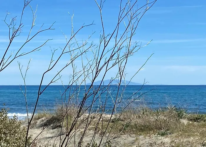 Chalet House A Marina Di …corse