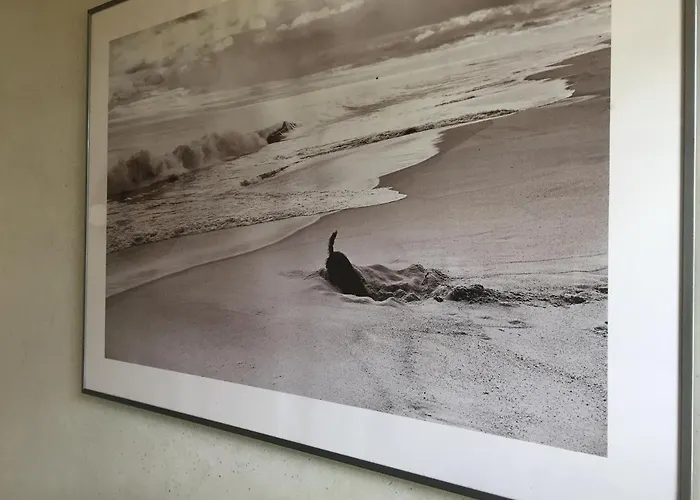 Chalet House A Marina Di …corse