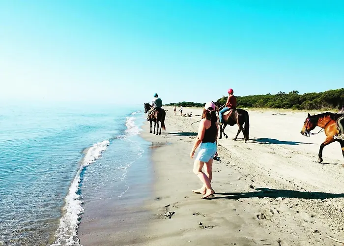 Chalet House A Marina Di …corse Sorbo-Ocagnano