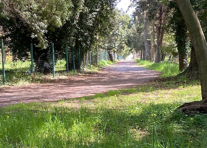 House A Marina Di …corse * Sorbo-Ocagnano