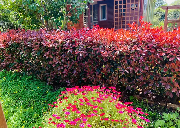 House A Marina Di …corse Sorbo-Ocagnano