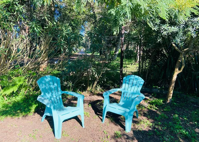 House A Marina Di …corse Chalet Sorbo-Ocagnano